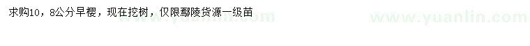 求購8、10公分早櫻