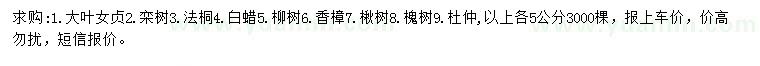 求購大葉女貞、欒樹、法桐等