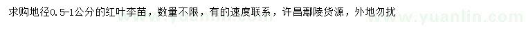 求購地徑0.5-1公分紅葉李