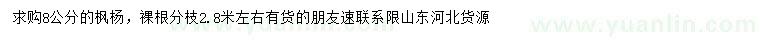 求購8公分楓楊