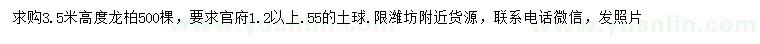 求購高度3.5米龍柏