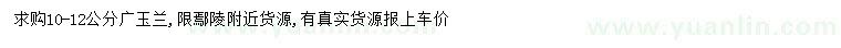 求購10-12公分廣玉蘭