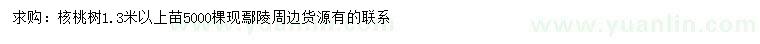 求購1.3米以上核桃樹