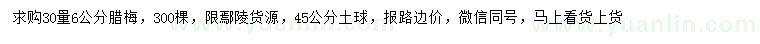 求購30量6公分臘梅