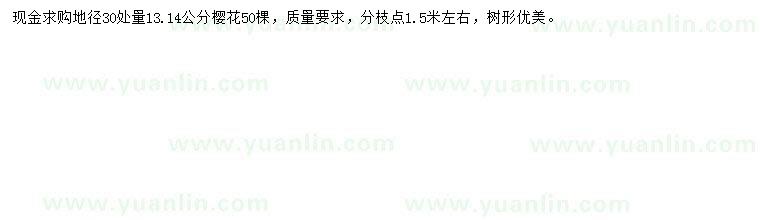 求購地徑30公分處量13、14公分櫻花