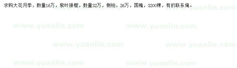 求購大花月季、紫葉矮櫻、側(cè)柏等