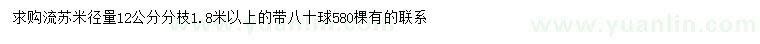 求購12公分分流蘇