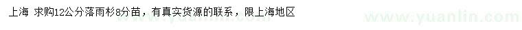求購12公分落雨杉