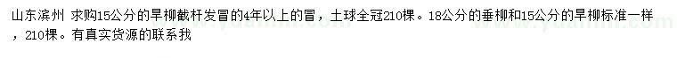 求購15公分旱柳、18公分垂柳