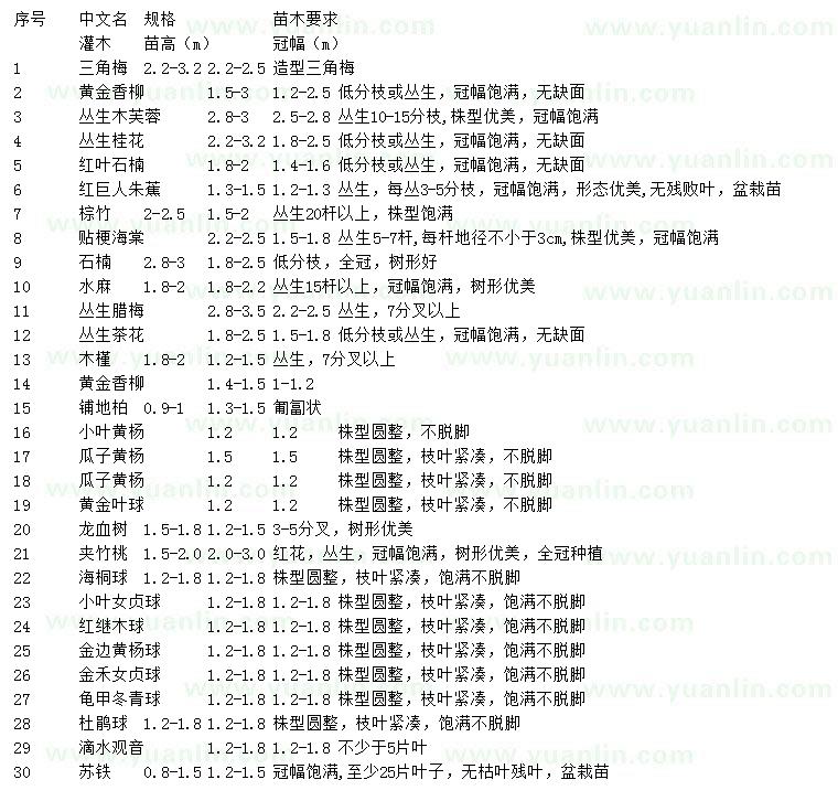 求購三角梅、黃金香柳、叢生木芙蓉等