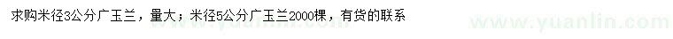 求購米徑3、5公分廣玉蘭