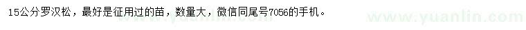 求購15公分羅漢松