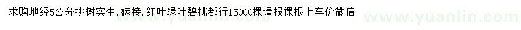 求購地徑5公分挑樹實生、嫁接紅葉綠葉碧挑
