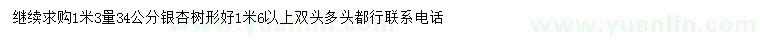 求購(gòu)1米3量34公分銀杏樹