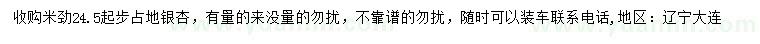 求購米徑24.5起步占地銀杏