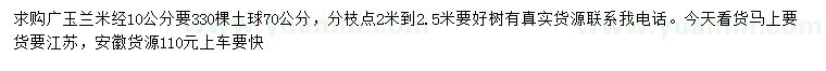 求購米徑10公分廣玉蘭