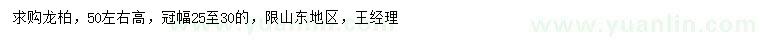 求購高50公分龍柏