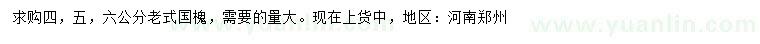 求購4、5、6公分老式國槐
