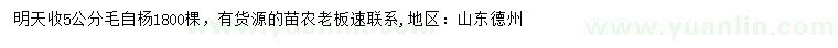 求購(gòu)5公分毛自楊