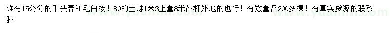求購15公分千頭春和毛白楊