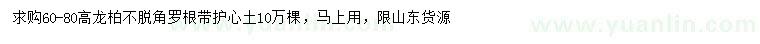 求購60-80高龍柏
