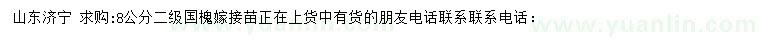 求購(gòu)8公分二級(jí)國(guó)槐