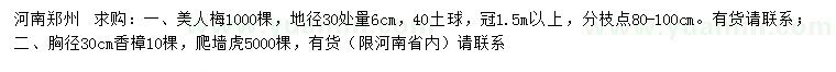 求購地徑30處量6公分美人梅