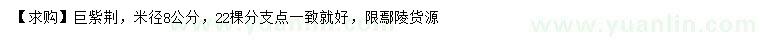 求購米徑8公分巨紫荊