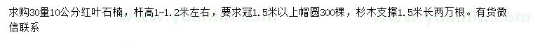 求購30量10公分紅葉石楠