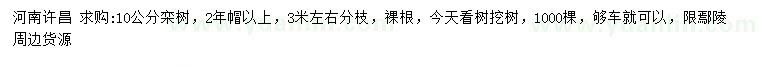 求購10公分欒樹