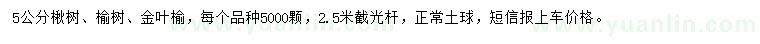 求購(gòu)楸樹(shù)、榆樹(shù)、金葉榆