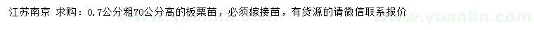 求購0.7公分板栗苗