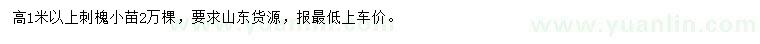 求購高1米以上刺槐小苗