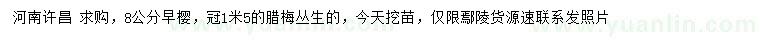 求購8公分早櫻、冠幅1.5米叢生臘梅