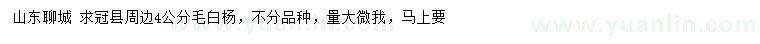 求購4公分毛白楊
