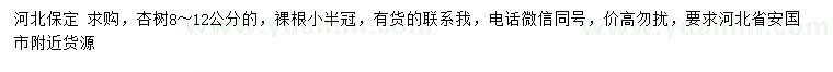 求購(gòu)8-12公分杏樹