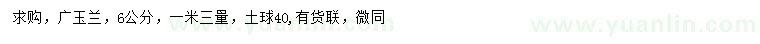 求購(gòu)1.3米量6公分廣玉蘭