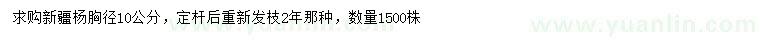 求購胸徑10公分新疆楊