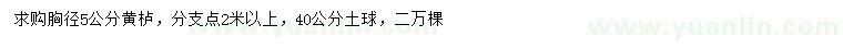 求購(gòu)胸徑5公分黃櫨