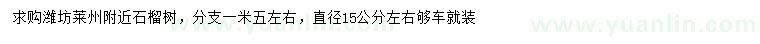 求購直徑15公分左右石榴樹