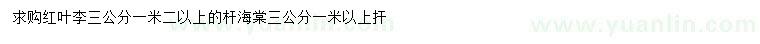求購3公分紅葉李、海棠