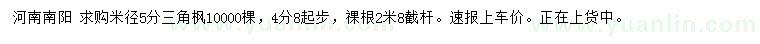 求購米徑5分三角楓