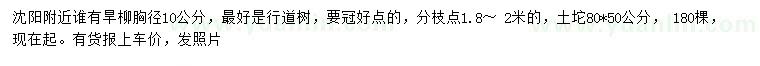 求購胸徑10公分旱柳