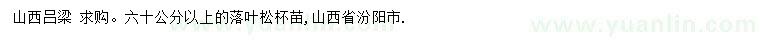 求購(gòu)60公分以上落葉松