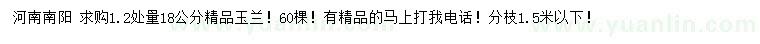 求購1.2處量18公分精品玉蘭
