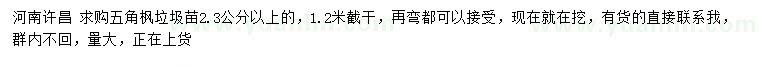 求購(gòu)2.3公分以上五角楓垃圾苗