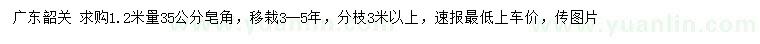 求購1.2米量35公分皂角
