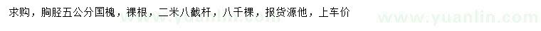 求購胸脛5公分國槐