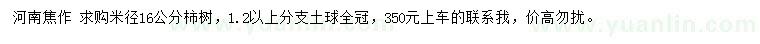 求購米徑16公分柿樹