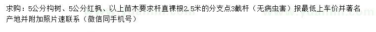 求購5公分構(gòu)樹、紅楓